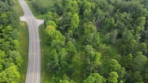 36.5 Ac Highway 139 Newald WI 54511