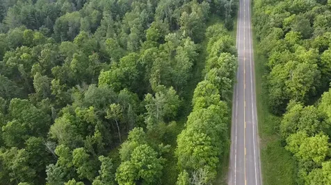 36.5 Ac Highway 139 Newald WI 54511