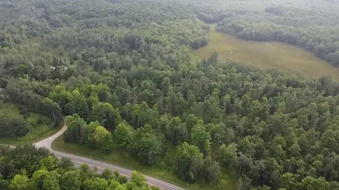 36.5 Ac Highway 139 Newald WI 54511