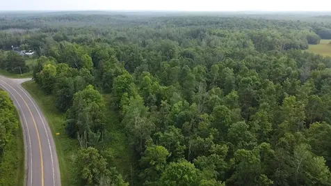36.5 Ac Highway 139 Newald WI 54511