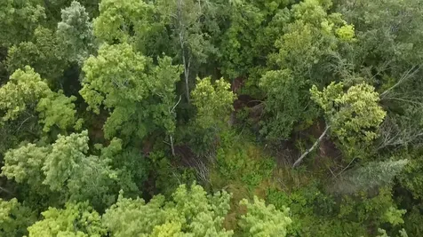 36.5 Ac Highway 139 Newald WI 54511
