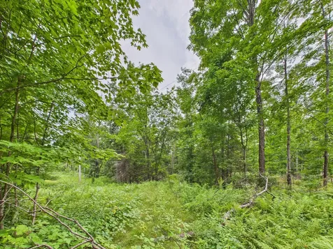 36.5 Ac Highway 139 Newald WI 54511