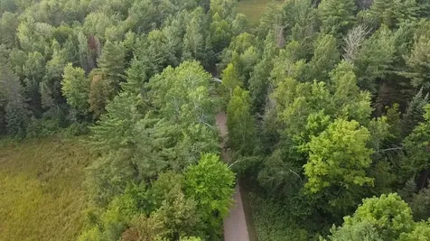 36.5 Ac Highway 139 Newald WI 54511