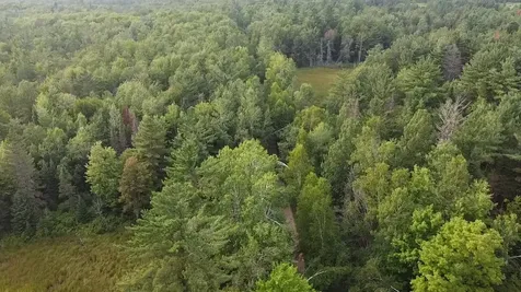 36.5 Ac Highway 139 Newald WI 54511