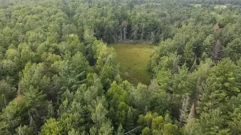 36.5 Ac Highway 139 Newald WI 54511