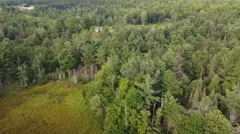 36.5 Ac Highway 139 Newald WI 54511