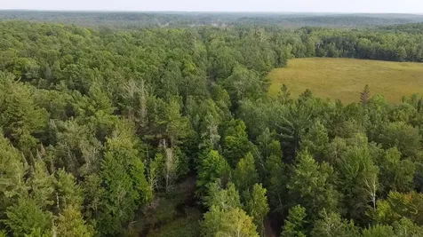 36.5 Ac Highway 139 Newald WI 54511