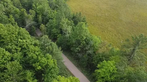 36.5 Ac Highway 139 Newald WI 54511