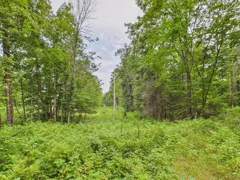 36.5 Ac Highway 139 Newald WI 54511