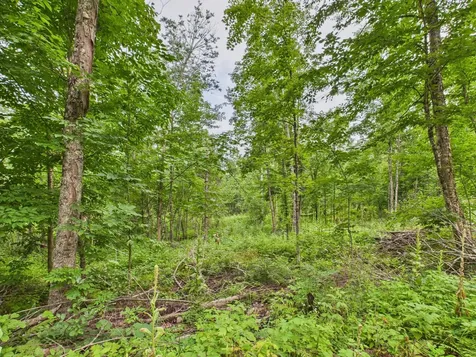 36.5 Ac Highway 139 Newald WI 54511