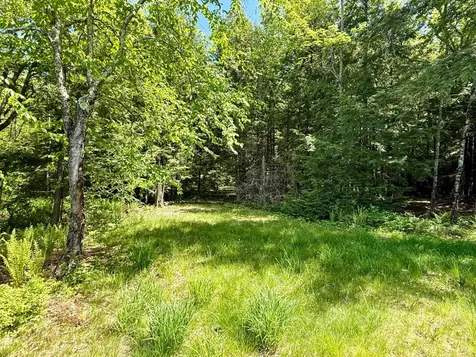 Lot 1 Briggs Lane Phelps WI 54554