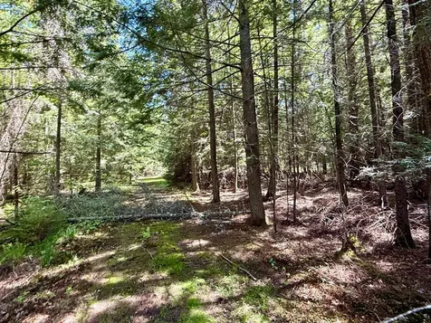 Lot 1 Briggs Lane Phelps WI 54554