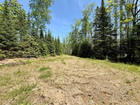 Lot 1 Briggs Lane Phelps WI 54554