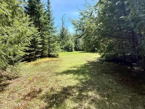 Lot 1 Briggs Lane Phelps WI 54554