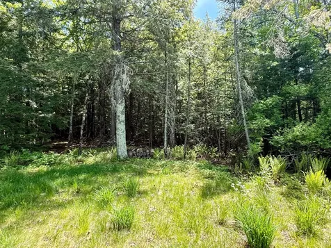 Lot 1 Briggs Lane Phelps WI 54554