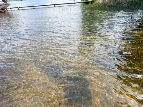 2465 Norway Point Drive Pelican Lake WI 54501