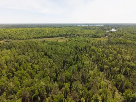 4724 Popko Creek W Mercer WI 54547