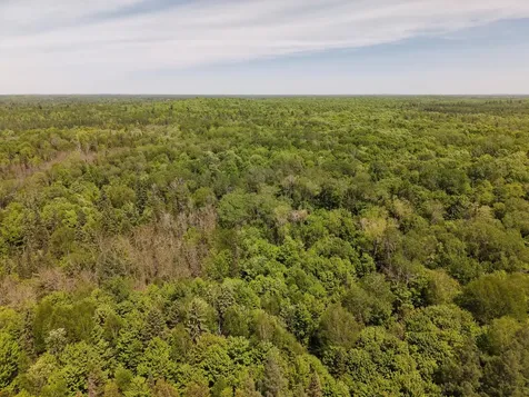 4724 Popko Creek W Mercer WI 54547