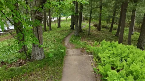 230 Vista Lane Pickerel WI 54465
