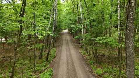 230 Vista Lane Pickerel WI 54465