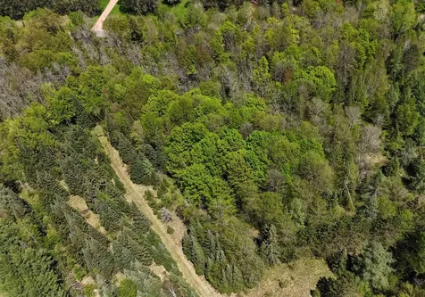 N16340 Highway 13 Park Falls WI 54552