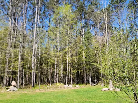 9159N Chippewa Pines Way Winter WI 54896