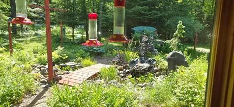 11072 Annabelle Shores Road Presque Isle WI 54557