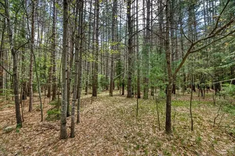 1241 Donald Drive Woodruff WI 54568