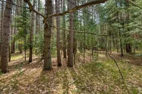 1241 Donald Drive Woodruff WI 54568