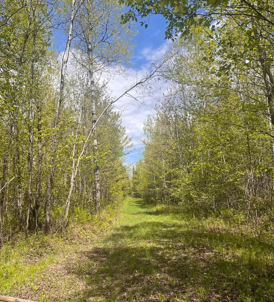 80 Acres Clausen Road Prentice WI 54556