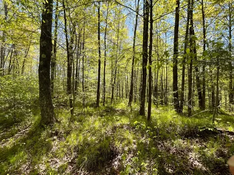80 Acres Clausen Road Prentice WI 54556