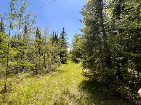 80 Acres Clausen Road Prentice WI 54556