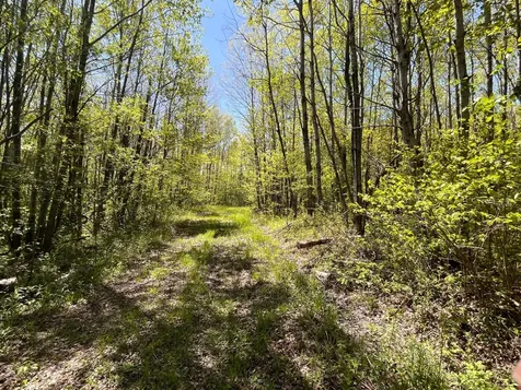 80 Acres Clausen Road Prentice WI 54556
