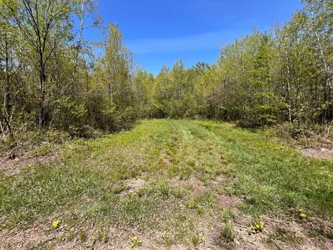 80 Acres Clausen Road Prentice WI 54556