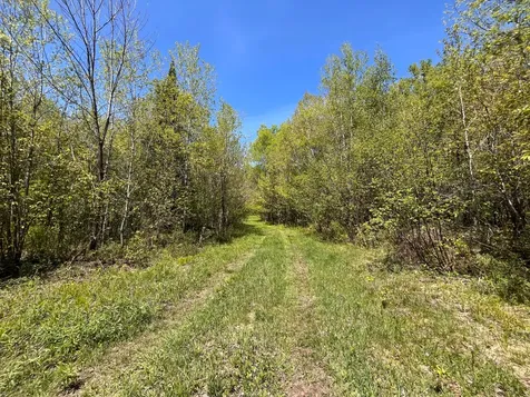 80 Acres Clausen Road Prentice WI 54556