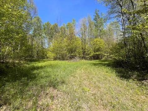 80 Acres Clausen Road Prentice WI 54556