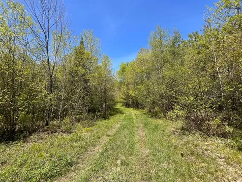 80 Acres Clausen Road Prentice WI 54556