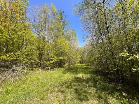 80 Acres Clausen Road Prentice WI 54556