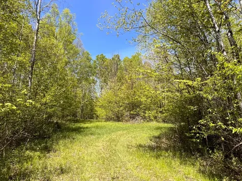 80 Acres Clausen Road Prentice WI 54556
