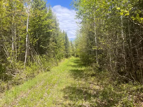 80 Acres Clausen Road Prentice WI 54556