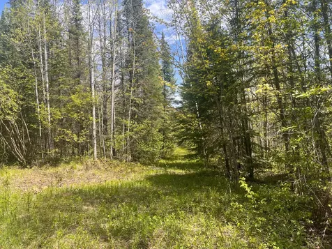 80 Acres Clausen Road Prentice WI 54556