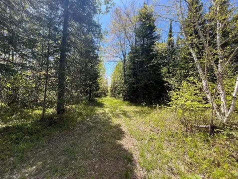 80 Acres Clausen Road Prentice WI 54556