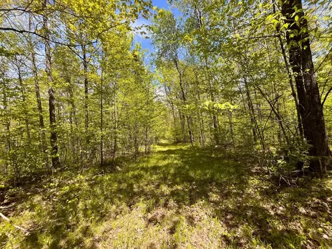 80 Acres Clausen Road Prentice WI 54556
