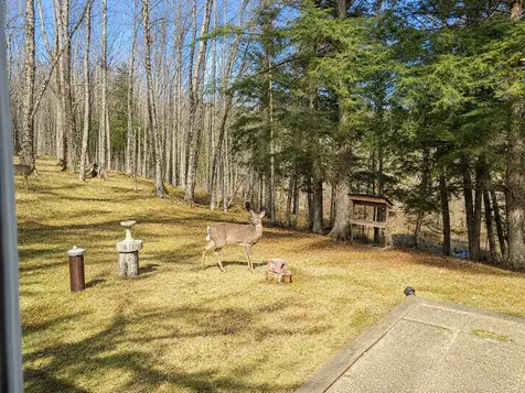 W11132 Zerngable Road Park Falls WI 54552