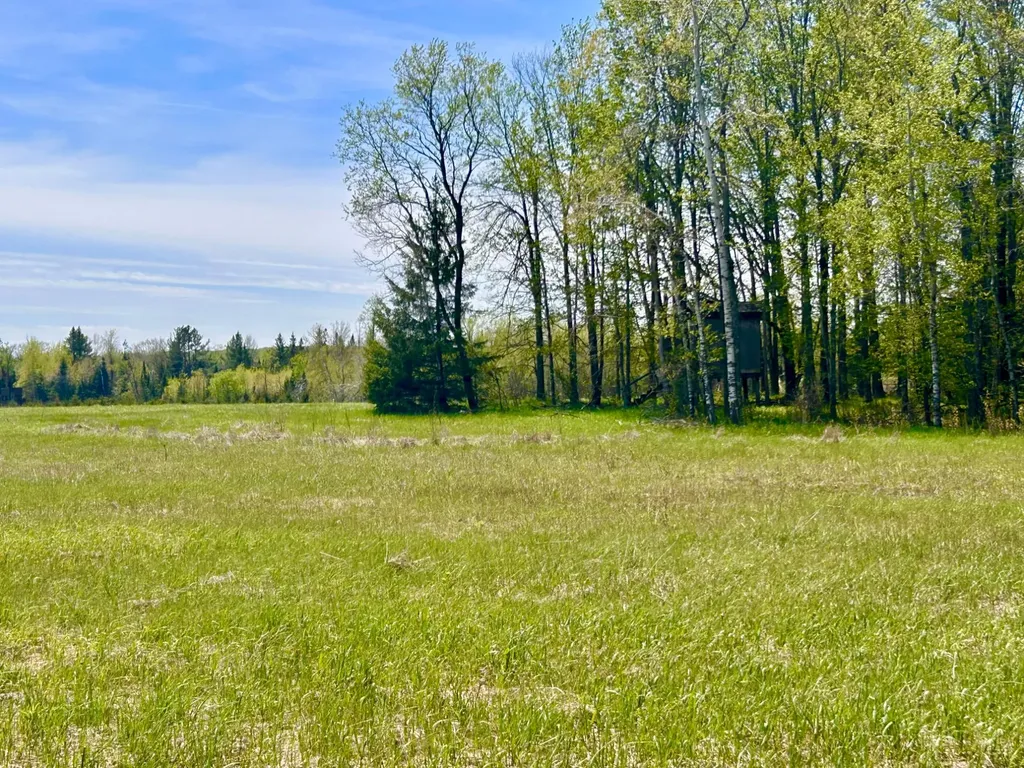 On Highway 55 White Lake WI 54491