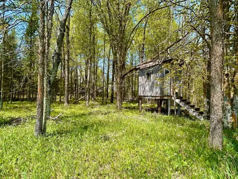 On Highway 55 White Lake WI 54491