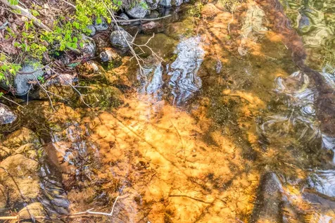 12978 Fawn Trail Manitowish Waters WI 54545