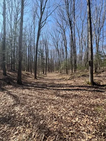 W1199 Blackberry Lane Gleason WI 54435
