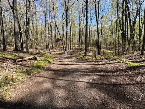 W1199 Blackberry Lane Gleason WI 54435