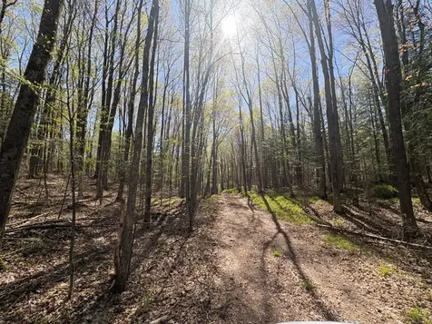 W1199 Blackberry Lane Gleason WI 54435